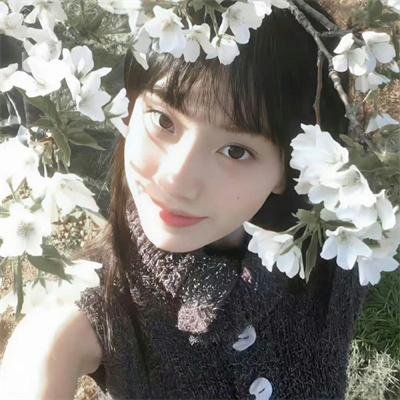 青苔：死亡异域